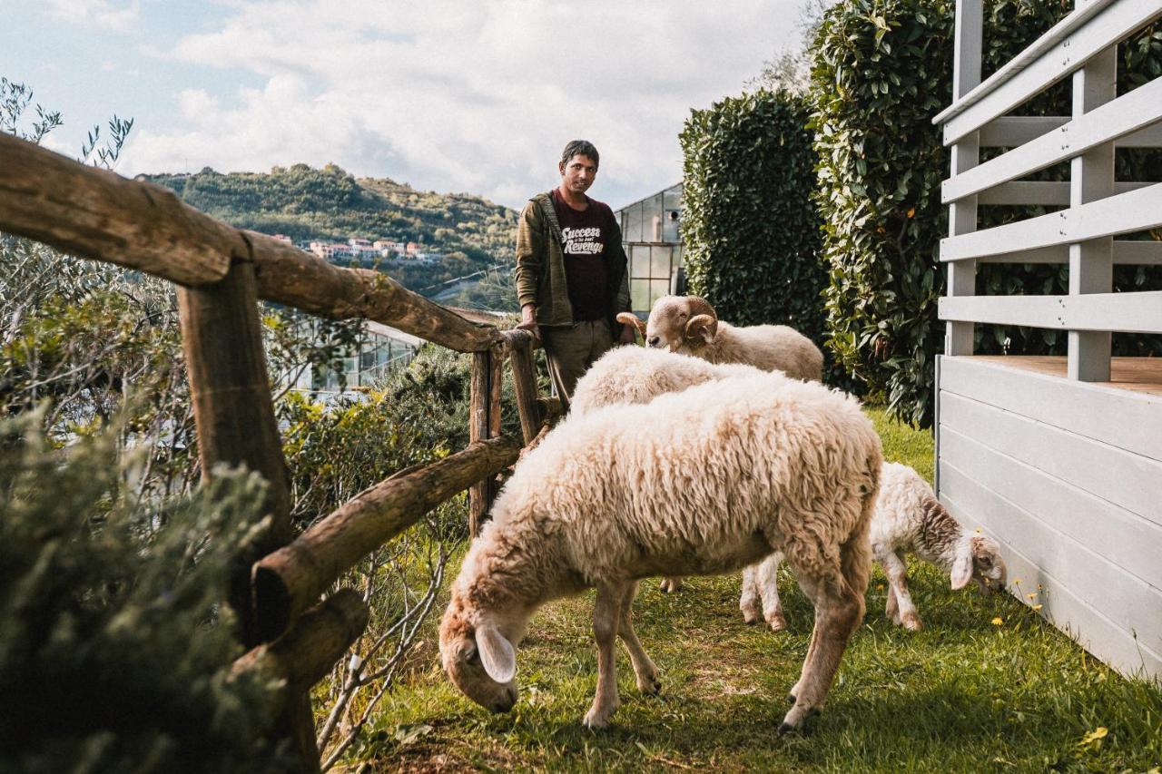 Agriturismo Rose Di Pietra Пиетра Лигуре Екстериор снимка
